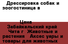 Дрессировка собак и зоогостиница в “DOG School“ › Цена ­ 300 - Забайкальский край, Чита г. Животные и растения » Аксесcуары и товары для животных   